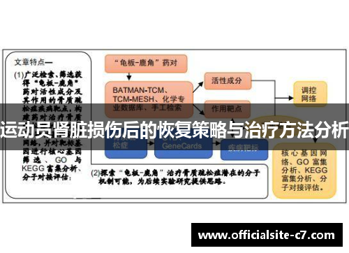 运动员肾脏损伤后的恢复策略与治疗方法分析